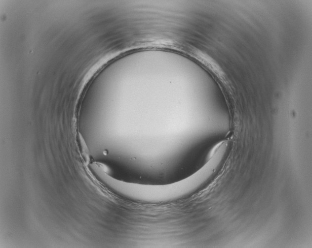 X0000067001332200604241354