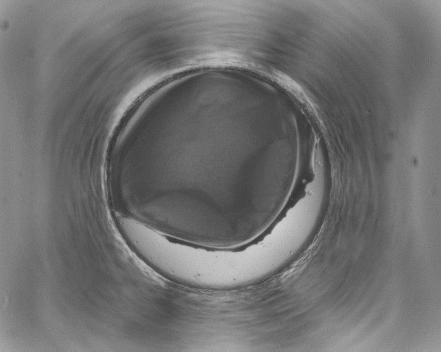 X0000067001334200604241354