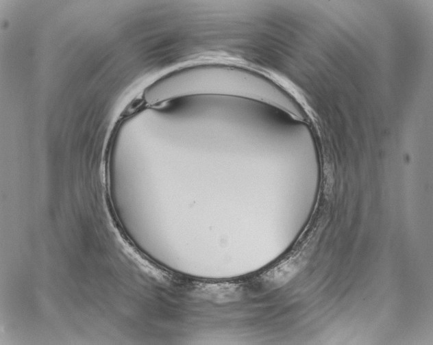 X0000067001335200604241354