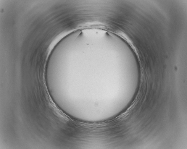 X0000067001336200604241354