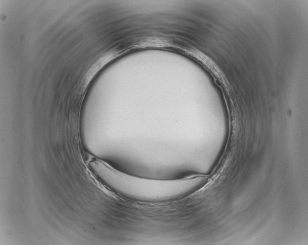 X0000067001337200604241354