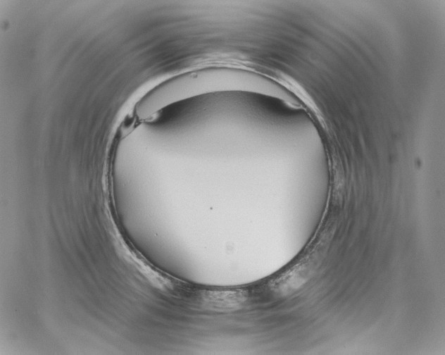 X0000067001339200604241354