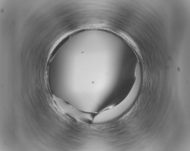 X0000067001340200604241354