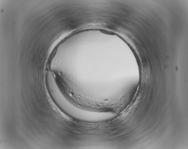 X0000067001341200604241354