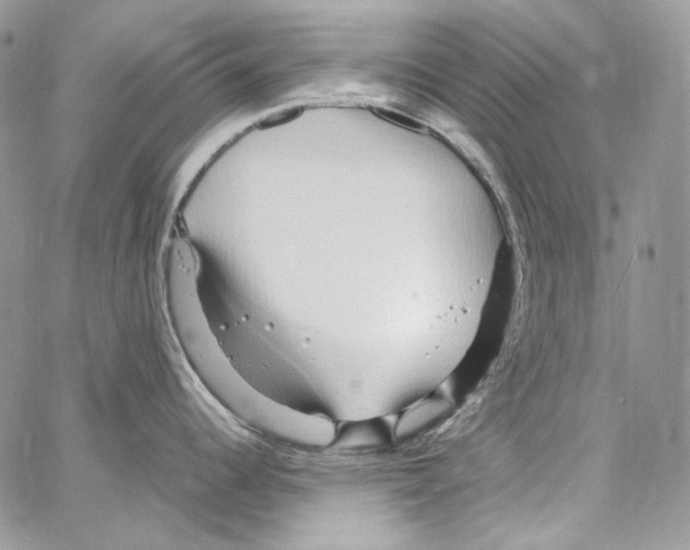 X0000067001344200604241355