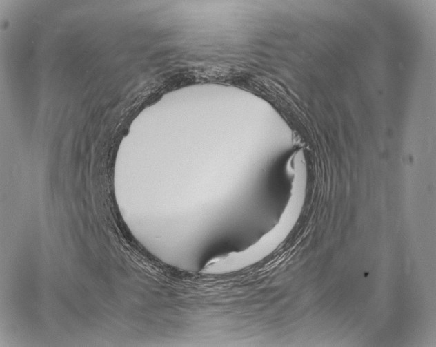 X0000067001345200604241354