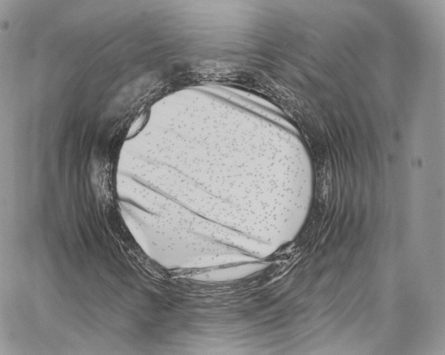 X0000067001346200604241354