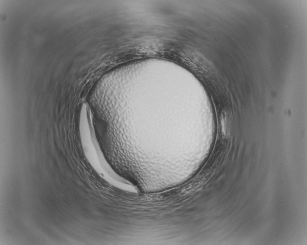 X0000067001347200604241354