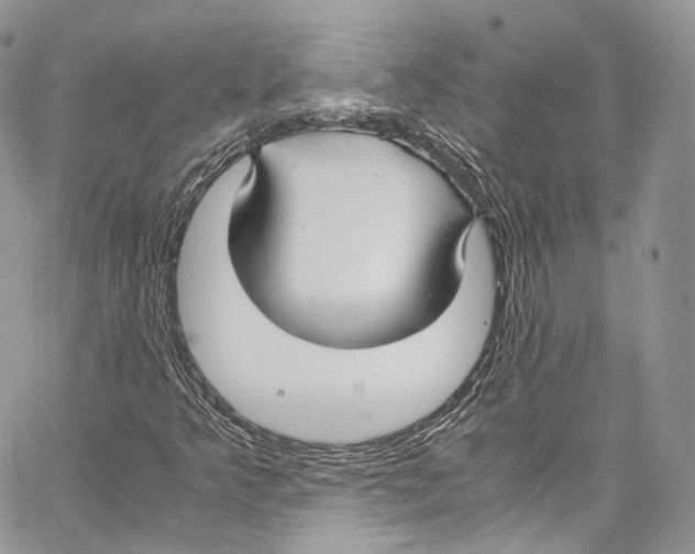 X0000067001349200604241354