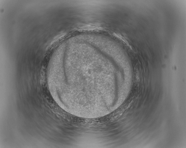 X0000067001350200604241354