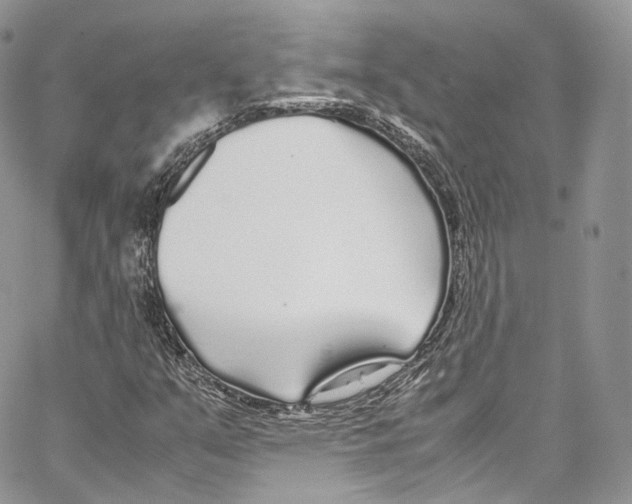 X0000067001351200604241354