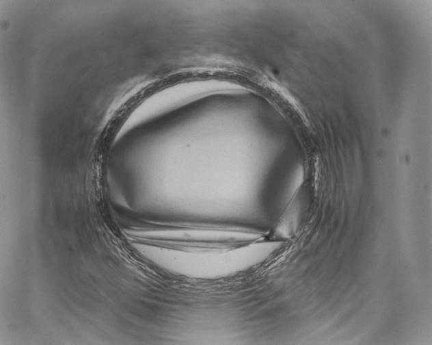 X0000067001352200604241354