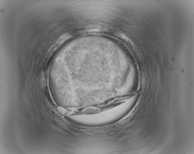 X0000067001353200604241354