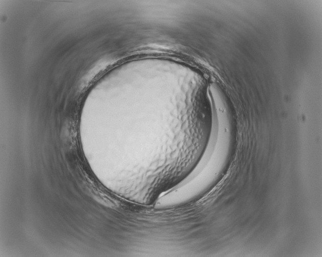 X0000067001355200604241354