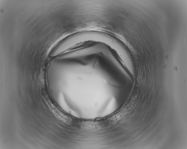 X0000067001356200604241354