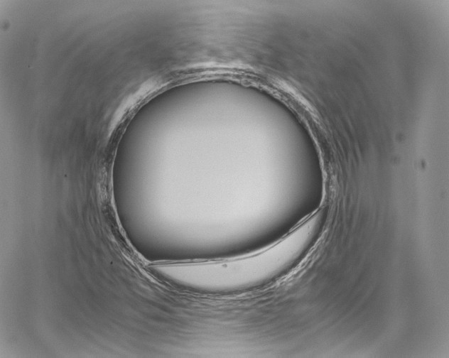 X0000067001357200604241354