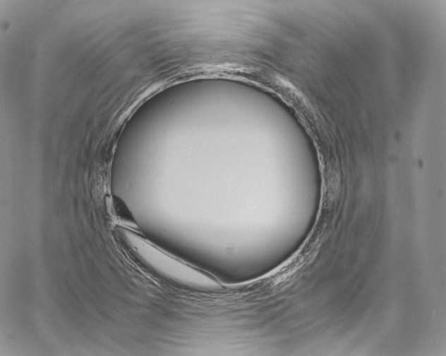 X0000067001361200604241353