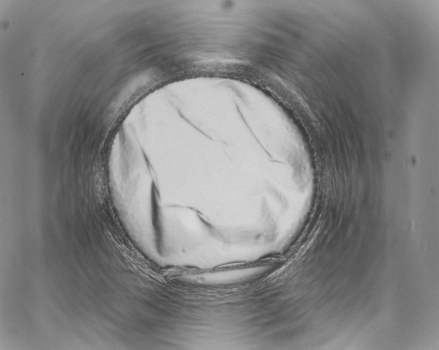 X0000067001362200604241353