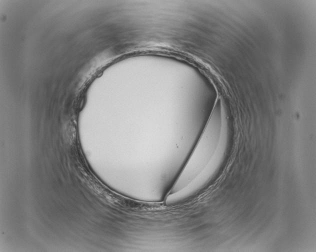 X0000067001363200604241353