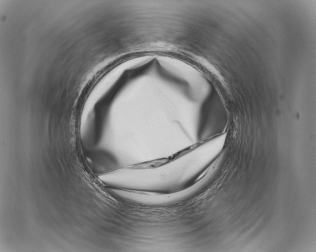 X0000067001364200604241353