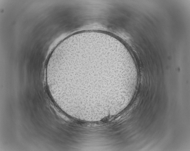 X0000067001366200604241353