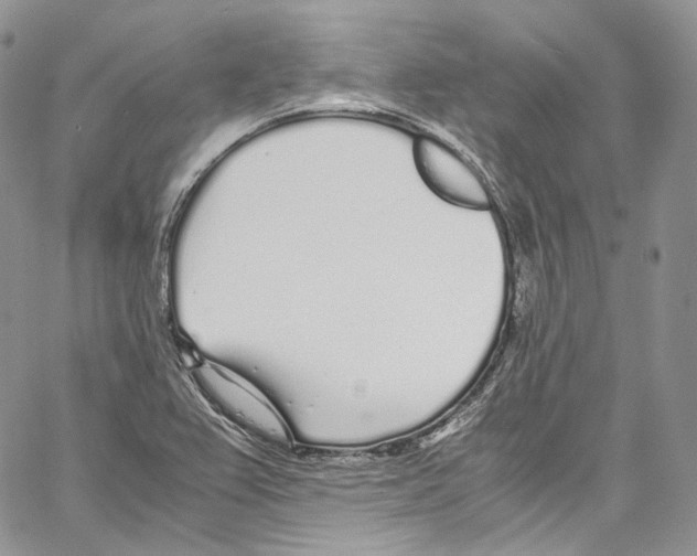 X0000067001367200604241353