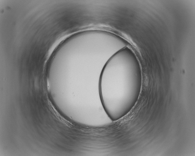 X0000067001368200604241353