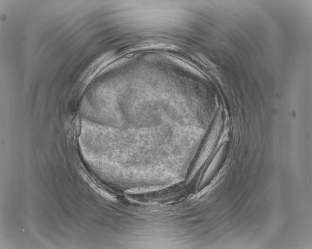 X0000067001369200604241353