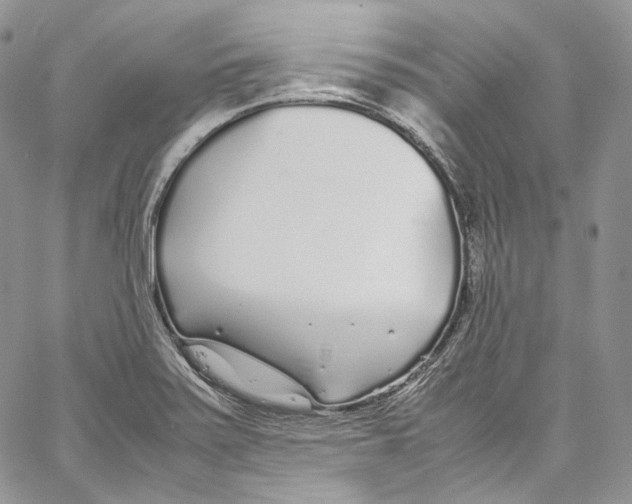 X0000067001371200604241353