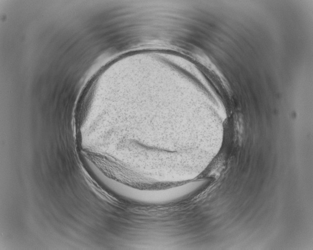 X0000067001372200604241353