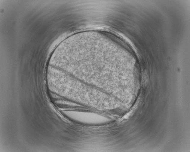 X0000067001373200604241353