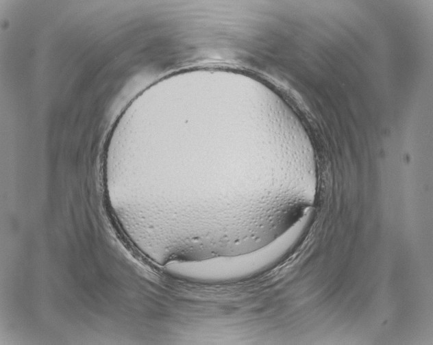 X0000067001375200604241353