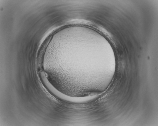 X0000067001376200604241353