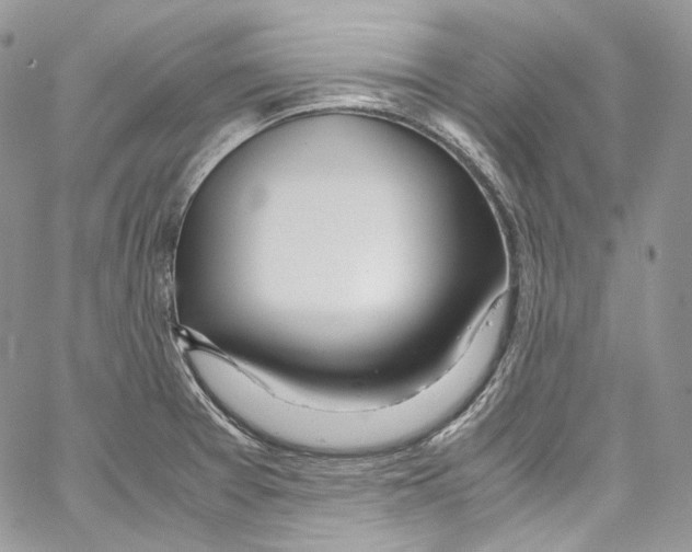 X0000067001377200604241353