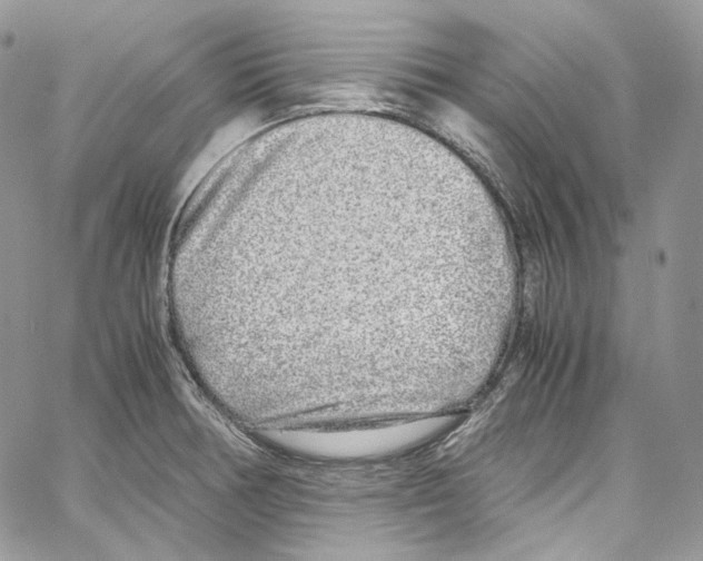 X0000067001378200604241353