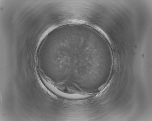 X0000067001381200604241353