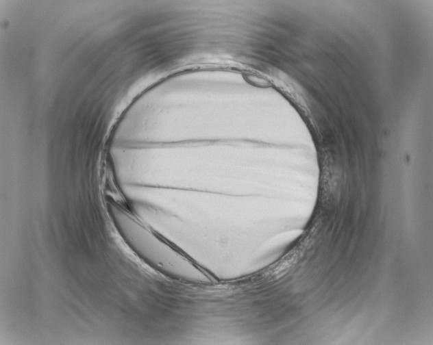 X0000067001382200604241353