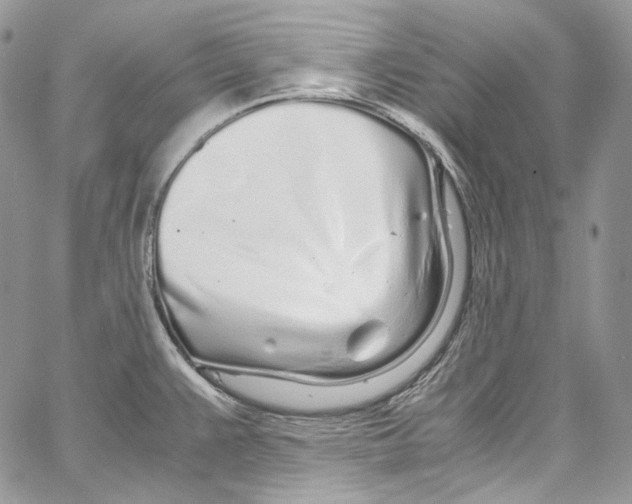 X0000067001383200604241353