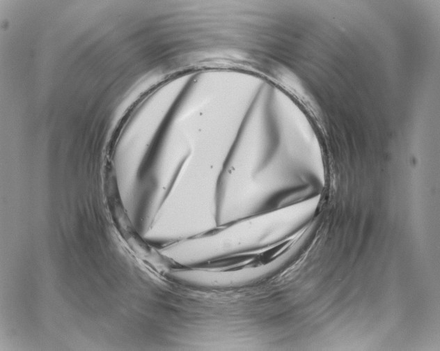 X0000067001384200604241353