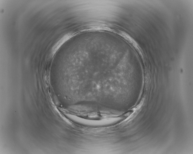 X0000067001385200604241353