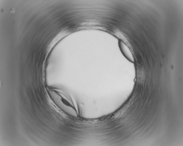 X0000067001386200604241353