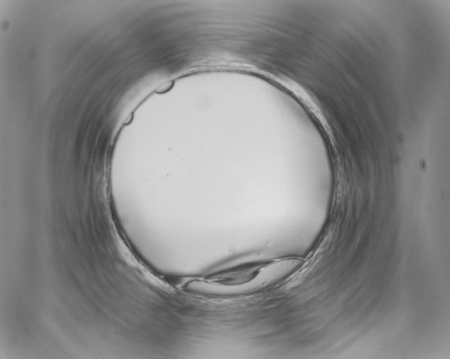 X0000067001390200604241353