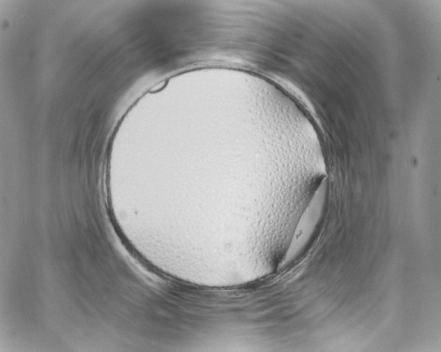 X0000067001391200604241353