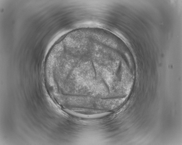 X0000067001392200604241353