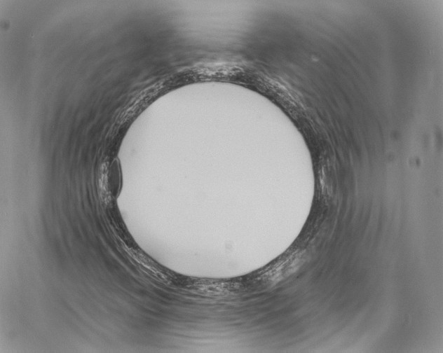 X0000067001396200604241352