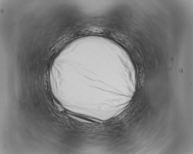 X0000067001397200604241352