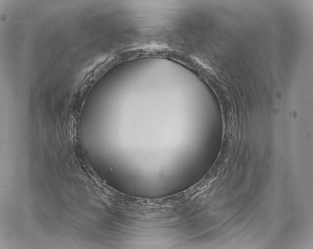 X0000067001398200604241352