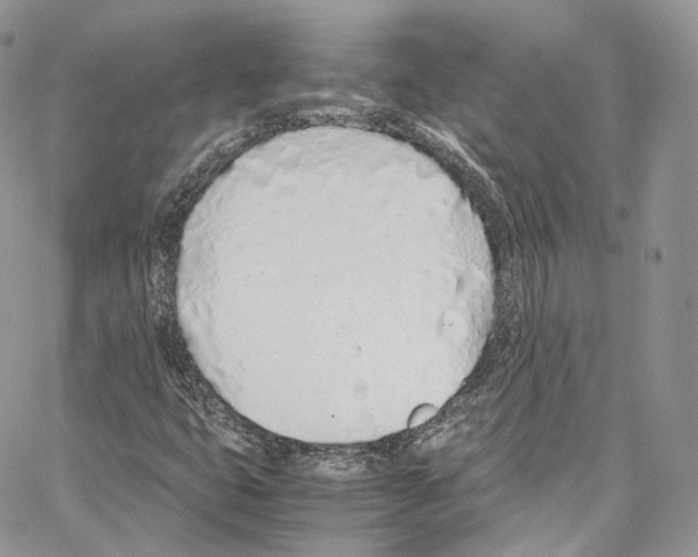 X0000067001399200604241352