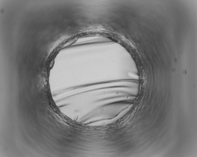 X0000067001400200604241352