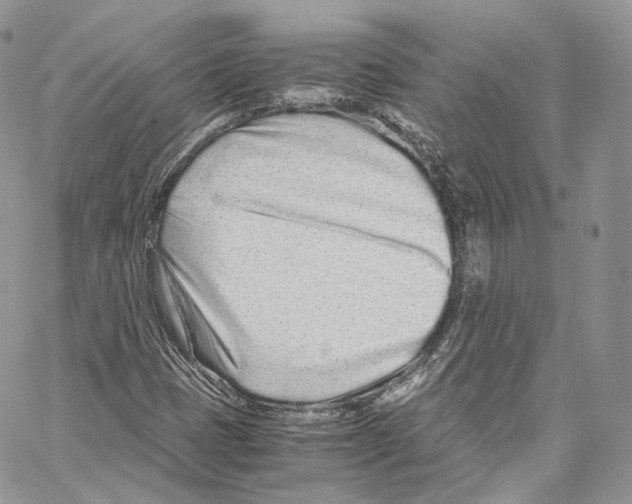 X0000067001401200604241352